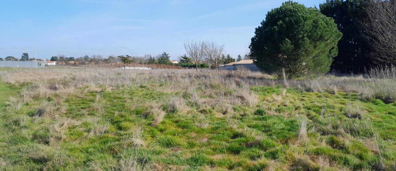 Terrain constructible Landiras (Gironde 33)