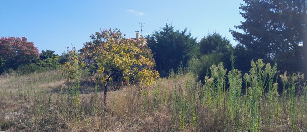 Terrain constructible Grayan-et-l'hôpital (Gironde 33)
