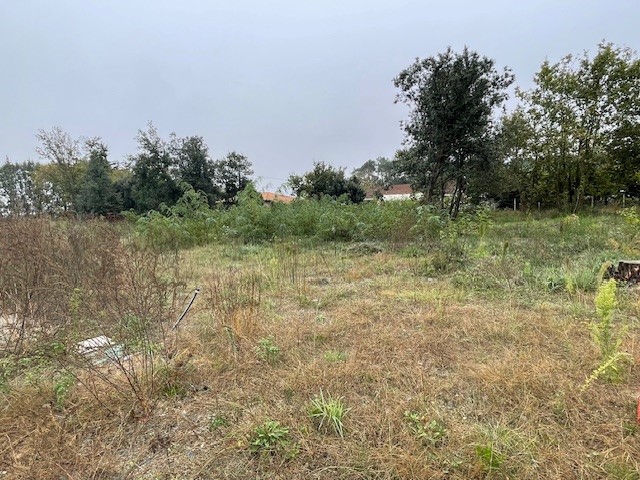 Maison avec terrain Cissac-médoc  (Gironde 33)