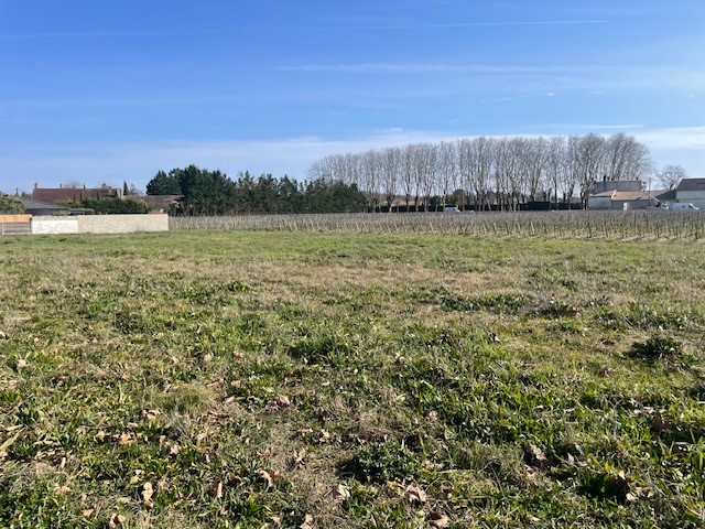 Terrain constructible Saint-michel-de-rieufret (Gironde 33)