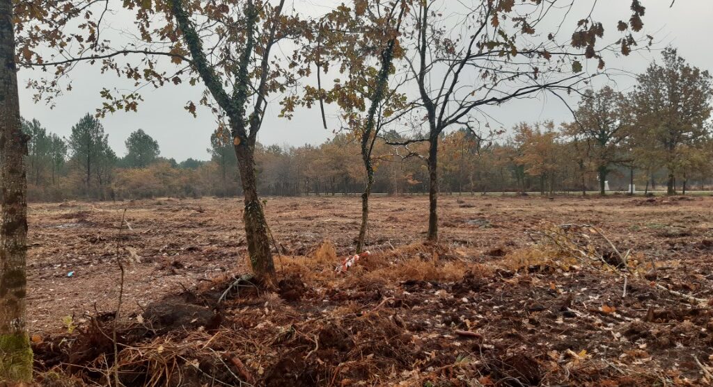 Terrain constructible Cadaujac (Gironde 33)