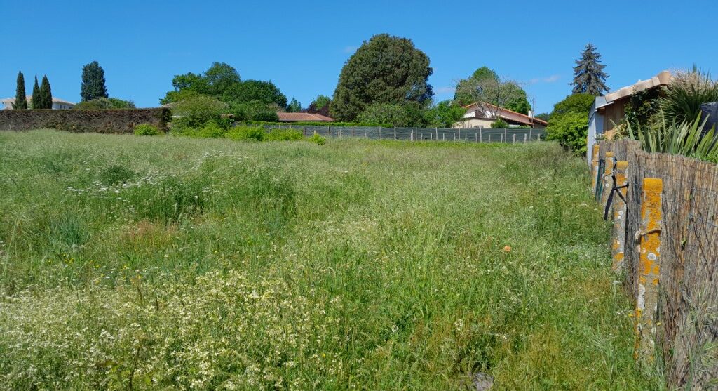 Maison avec terrain Vendays-montalivet  (Gironde 33)