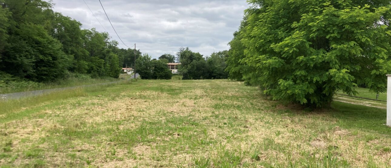 Terrain constructible Donnezac  (Gironde 33)