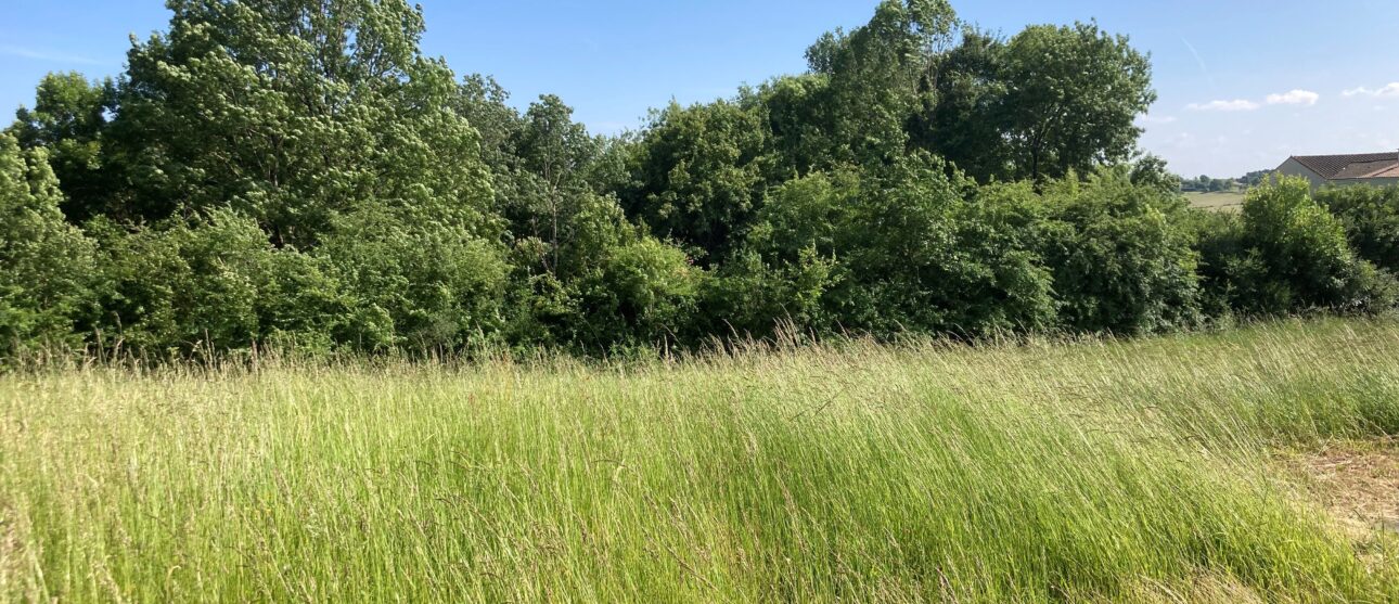 Terrain constructible Mirambeau  (Charente-maritime 17)