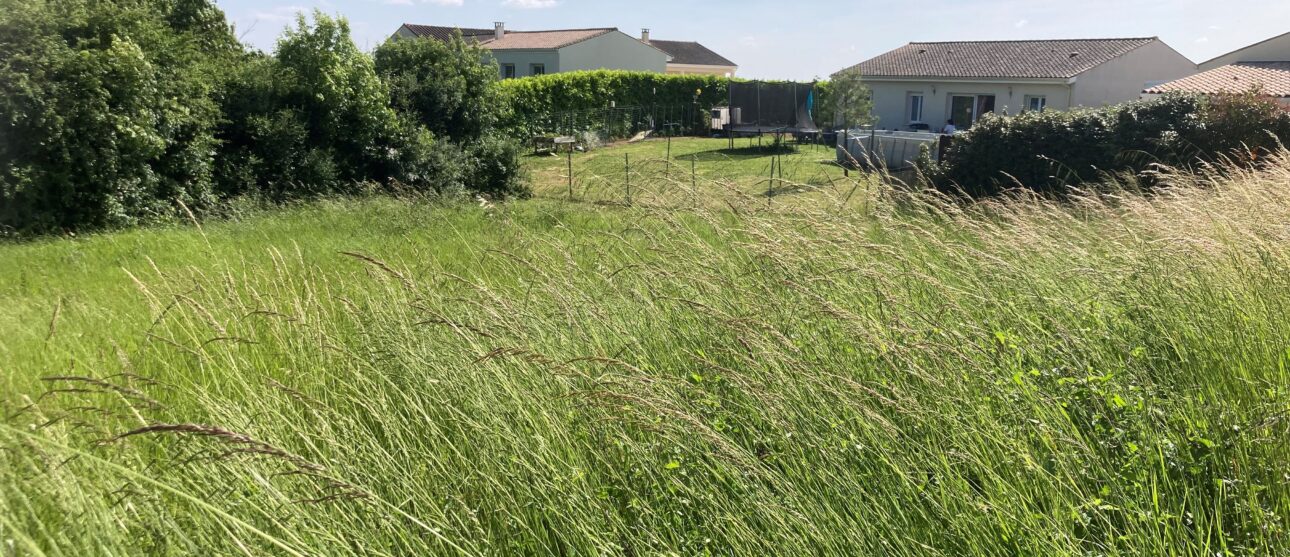 Terrain constructible Mirambeau  (Charente-maritime 17)