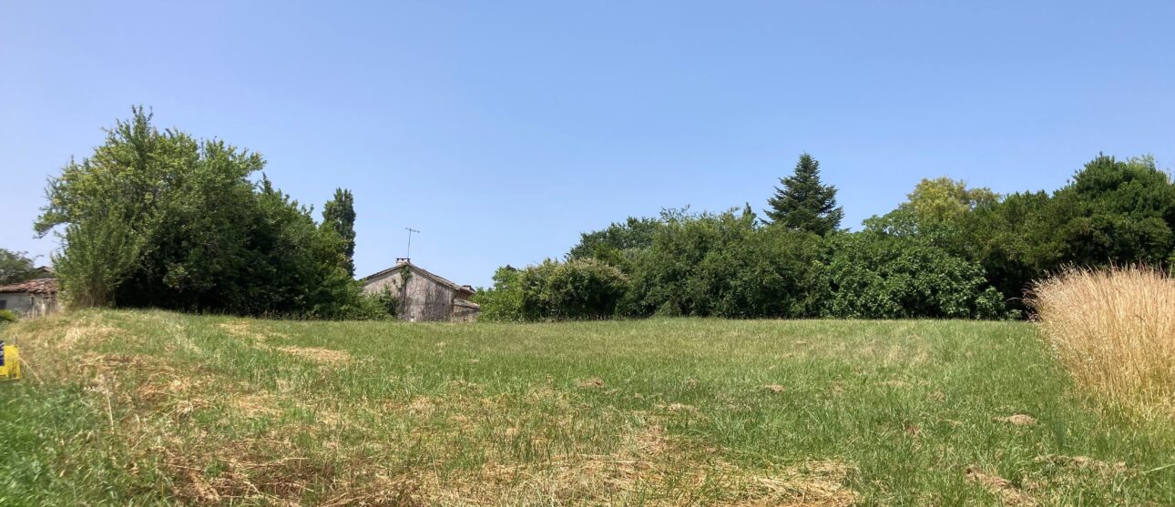 Terrain constructible Montlieu-la-garde  (Charente-maritime 17)
