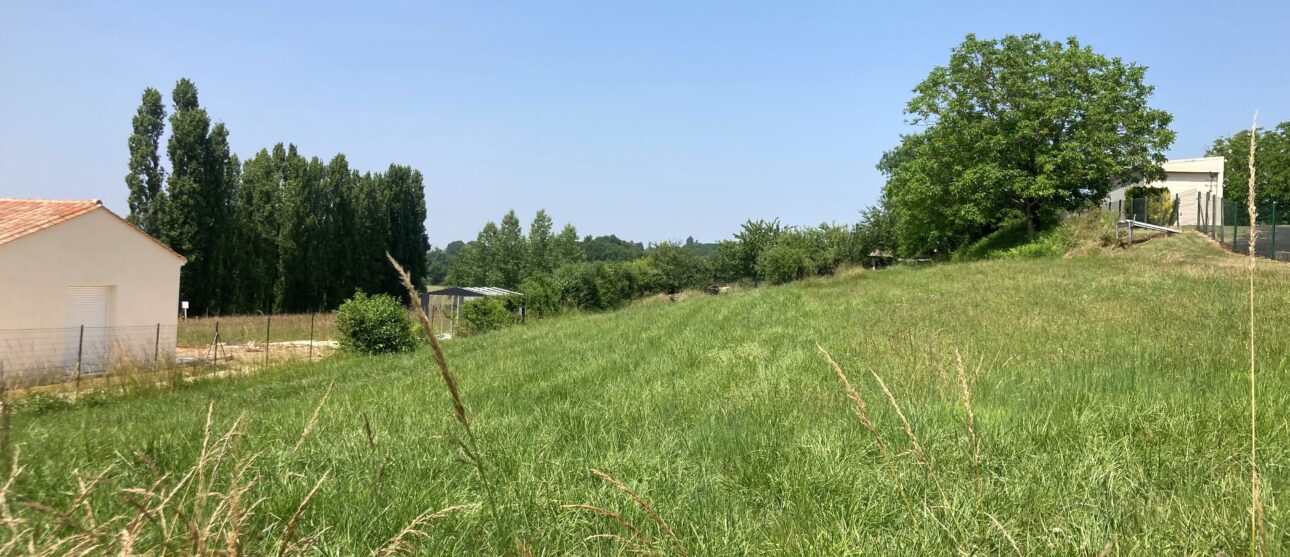 Terrain constructible Montlieu-la-garde  (Charente-maritime 17)