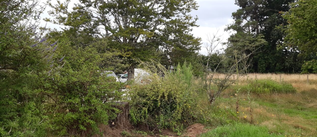 Maison avec terrain Vendays-montalivet  (Gironde 33)