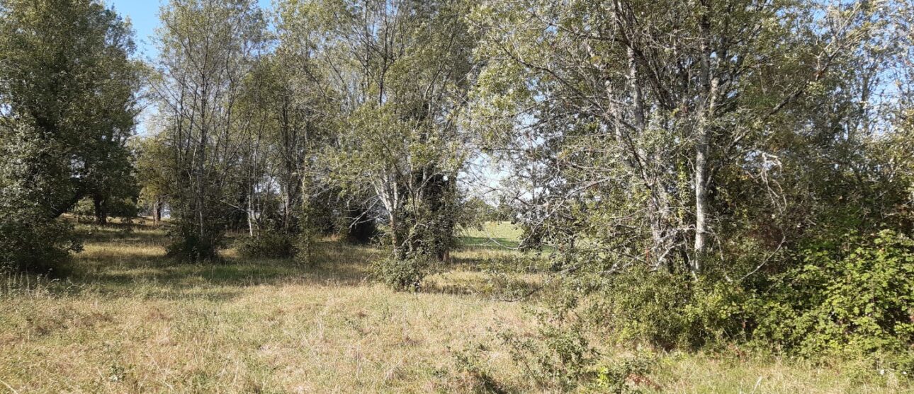 Terrain constructible Saint-andré-de-cubzac (Gironde 33)