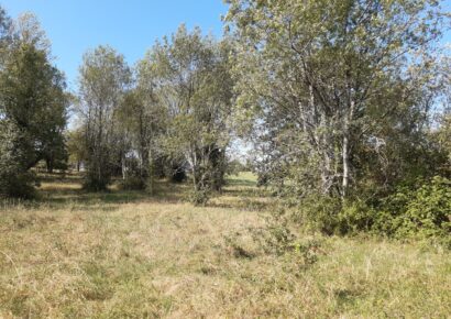 Terrain Floirac  (Gironde 33)