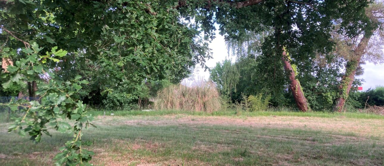 Terrain constructible Pugnac  (Gironde 33)