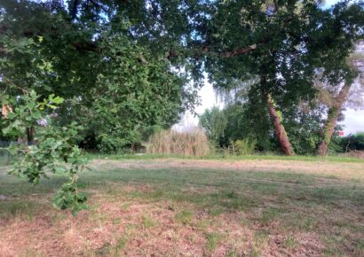 Terrain constructible Pugnac  (Gironde 33)