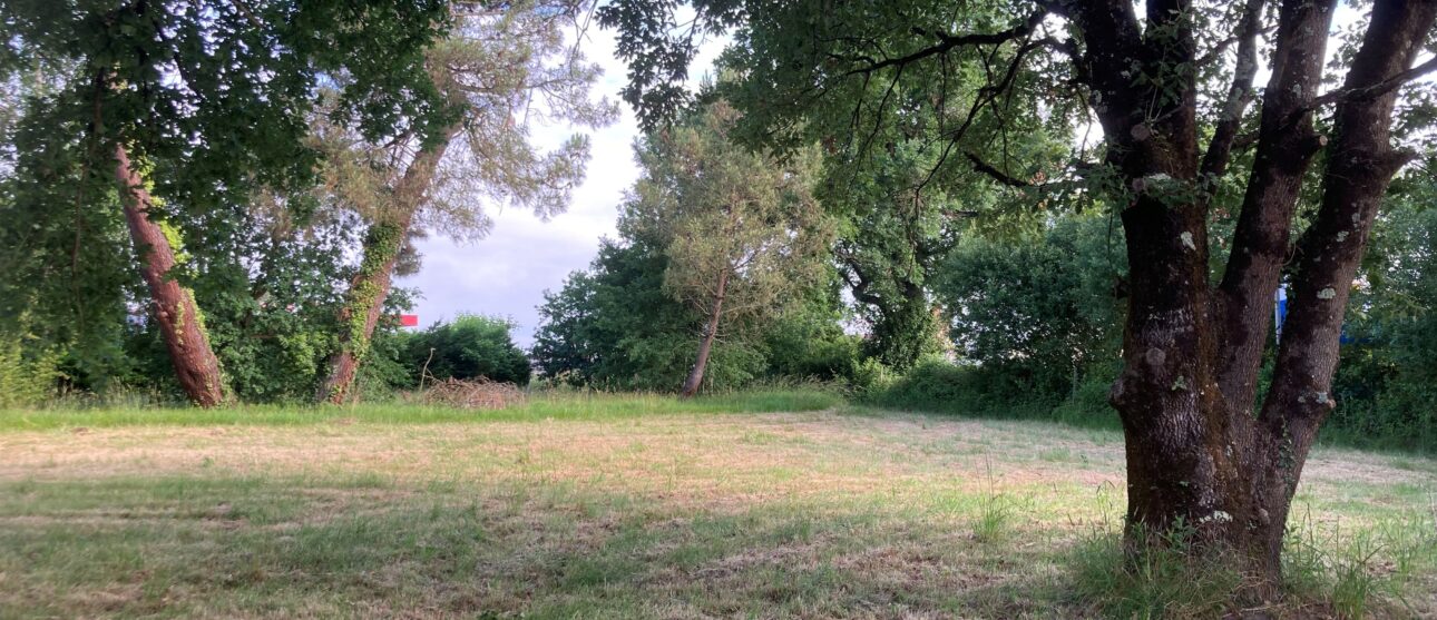 Terrain constructible Pugnac  (Gironde 33)