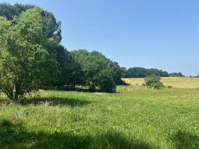 Terrain constructible Saint-loubès  (Gironde 33)