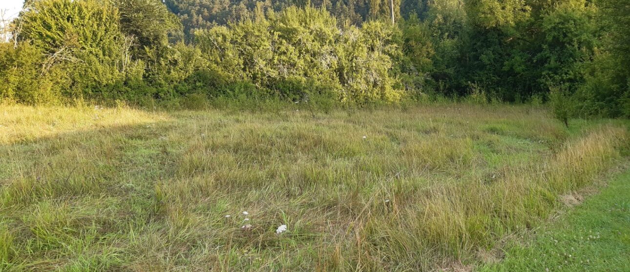 Terrain constructible Saint-morillon (Gironde 33)