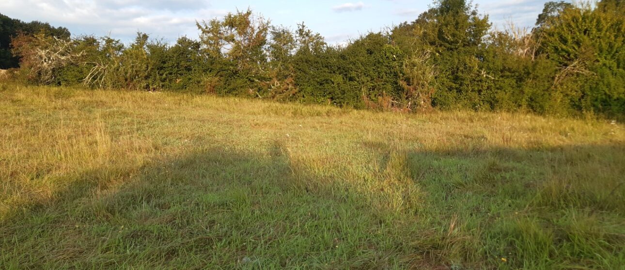 Terrain constructible Saint-pardon-de-conques (Gironde 33)
