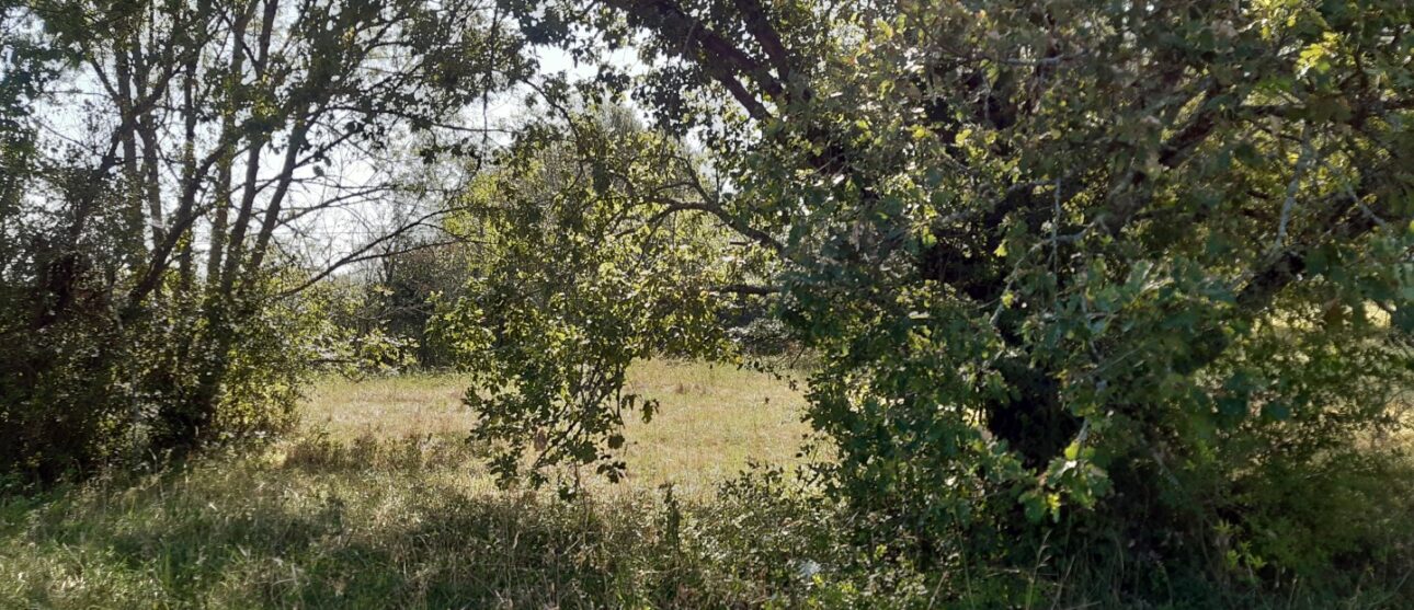Terrain constructible Pugnac (Gironde 33)