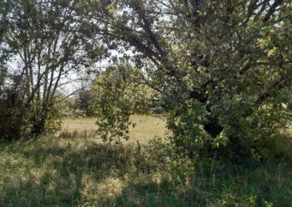 Terrain Floirac  (Gironde 33)
