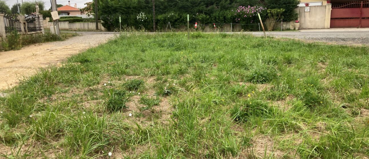 Terrain constructible Gauriaguet  (Gironde 33)