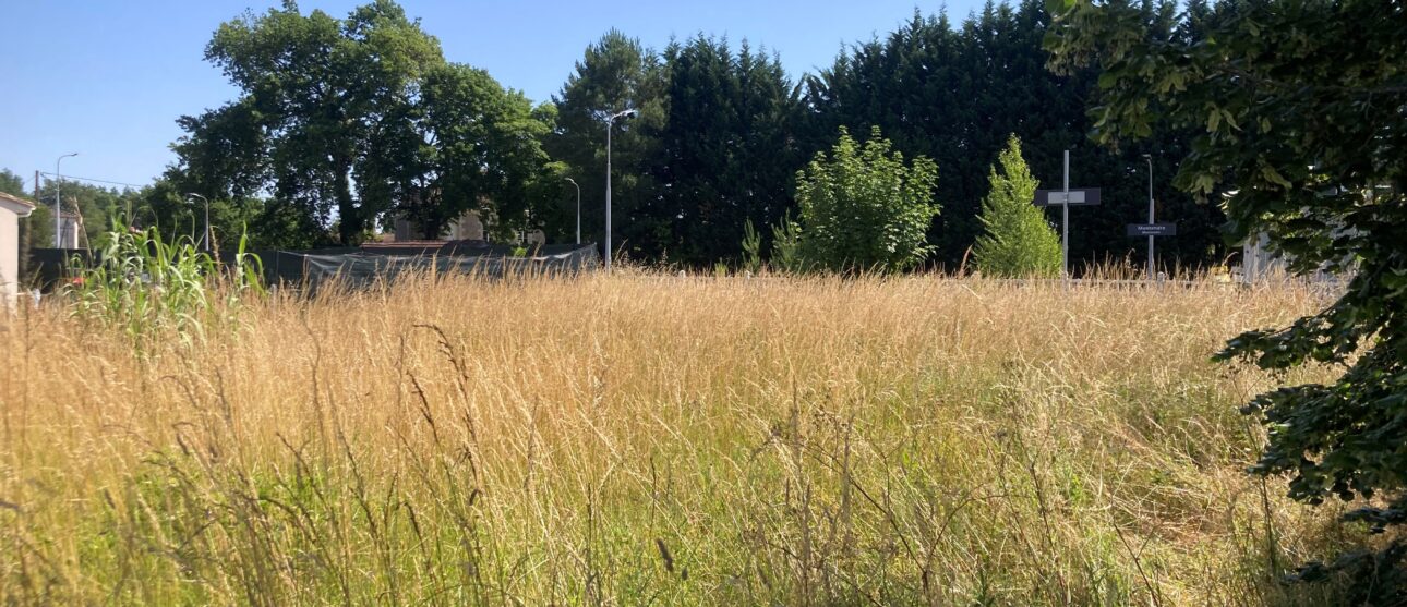 Terrain constructible Montendre  (Charente-maritime 17)