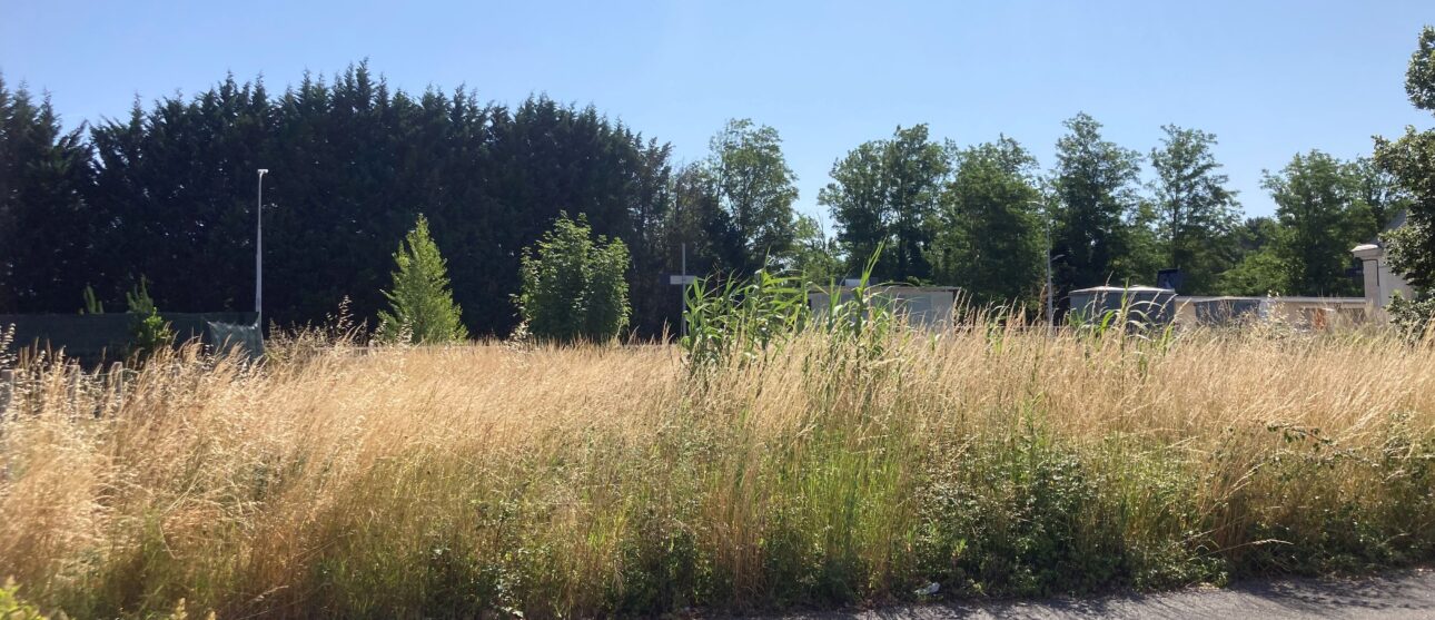Terrain constructible Montendre  (Charente-maritime 17)