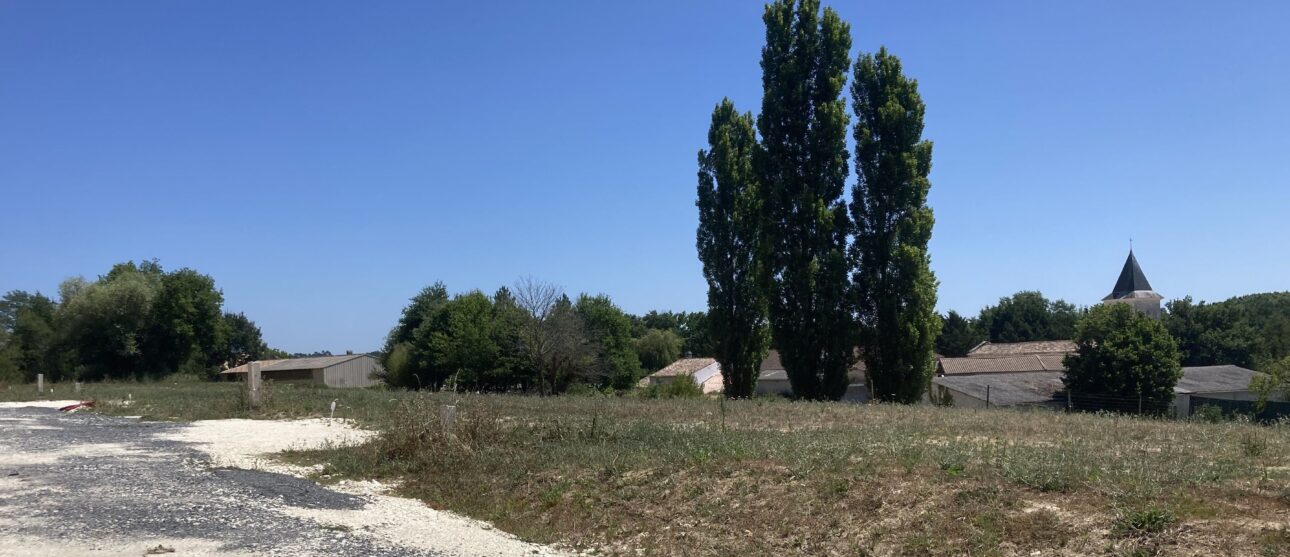 Terrain constructible Boisredon  (Charente-maritime 17)