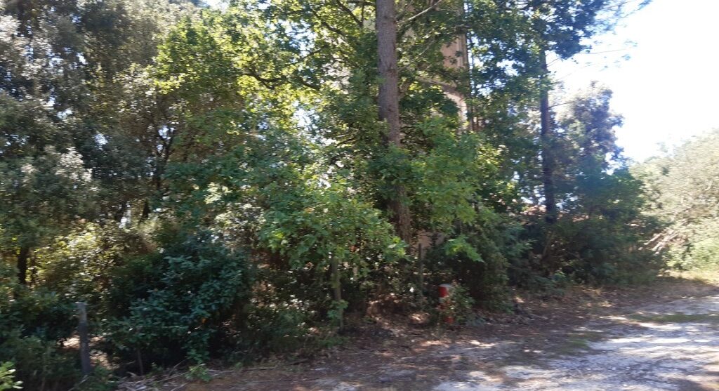 Terrain constructible Saint-magne (Gironde 33)