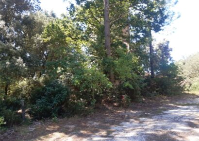 Terrain Blanquefort  (Gironde 33)