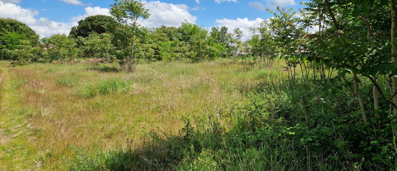 Terrain constructible Castres-gironde (Gironde 33)