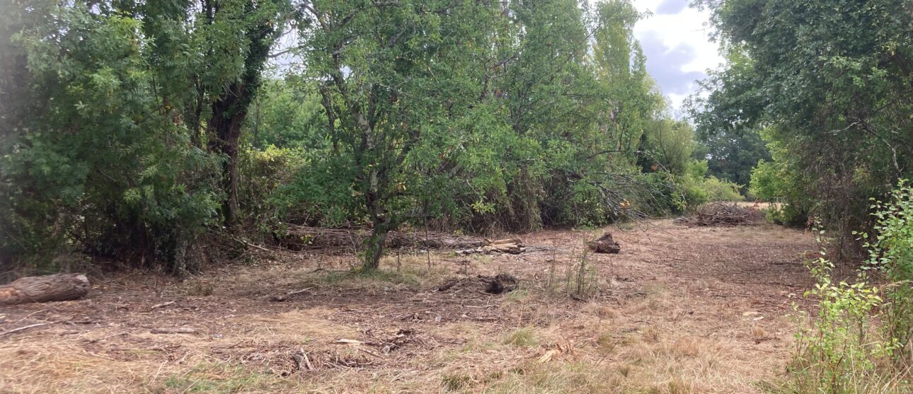 Terrain constructible Gauriaguet  (Gironde 33)