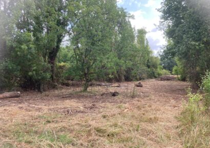 Terrain constructible Gauriaguet  (Gironde 33)
