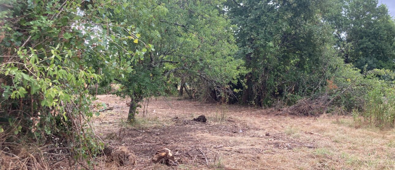 Terrain constructible Gauriaguet  (Gironde 33)