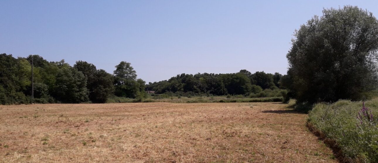 Terrain constructible Castelnau-de-médoc  (Gironde 33)
