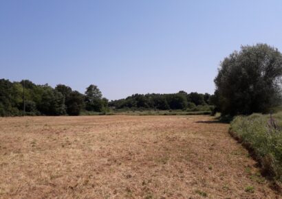 Terrain Saint-andré-de-cubzac  (Gironde 33)