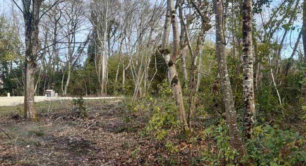 Terrain constructible Arbanats (Gironde 33)