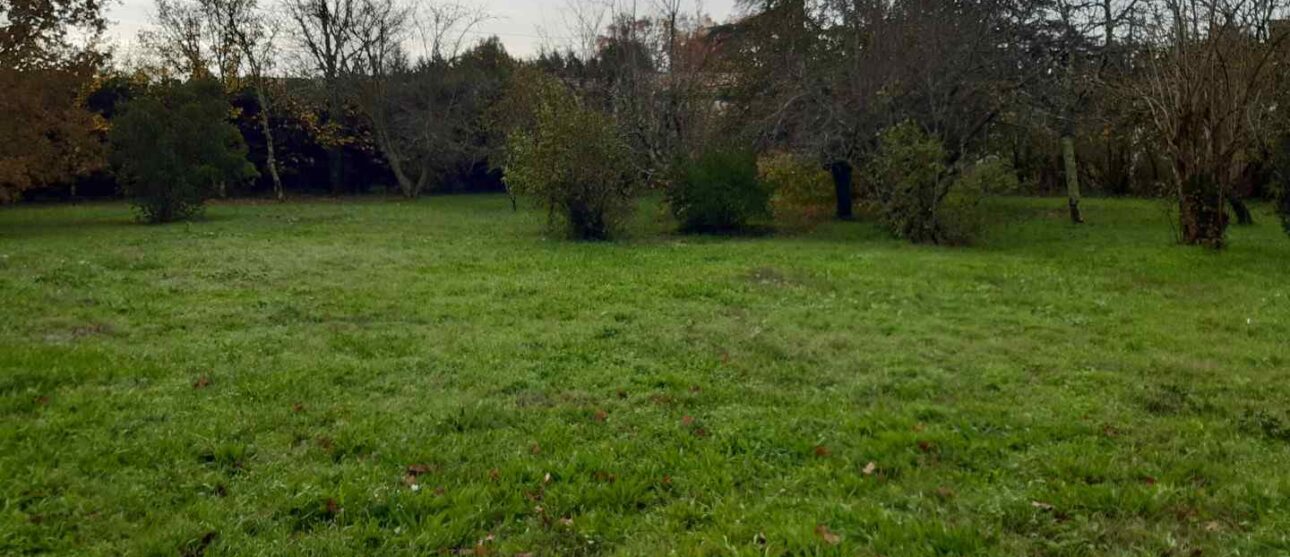 Terrain constructible Saint-michel-de-rieufret (Gironde 33)