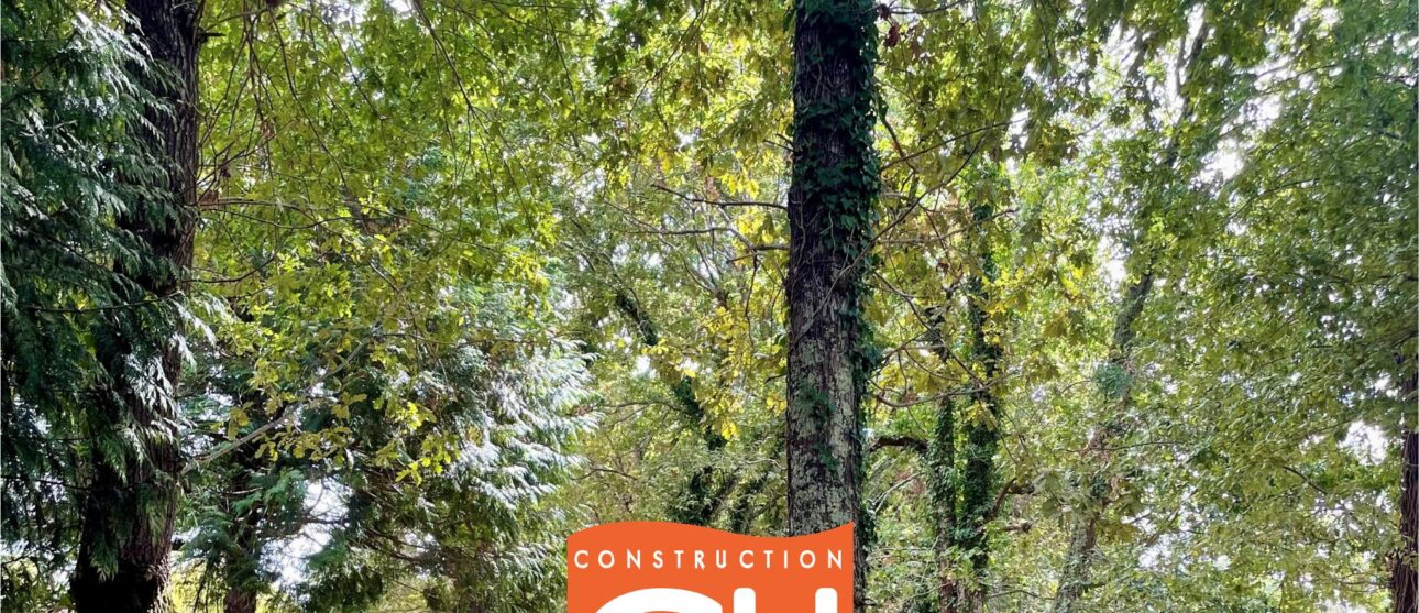 Terrain constructible Le teich  (Gironde 33)
