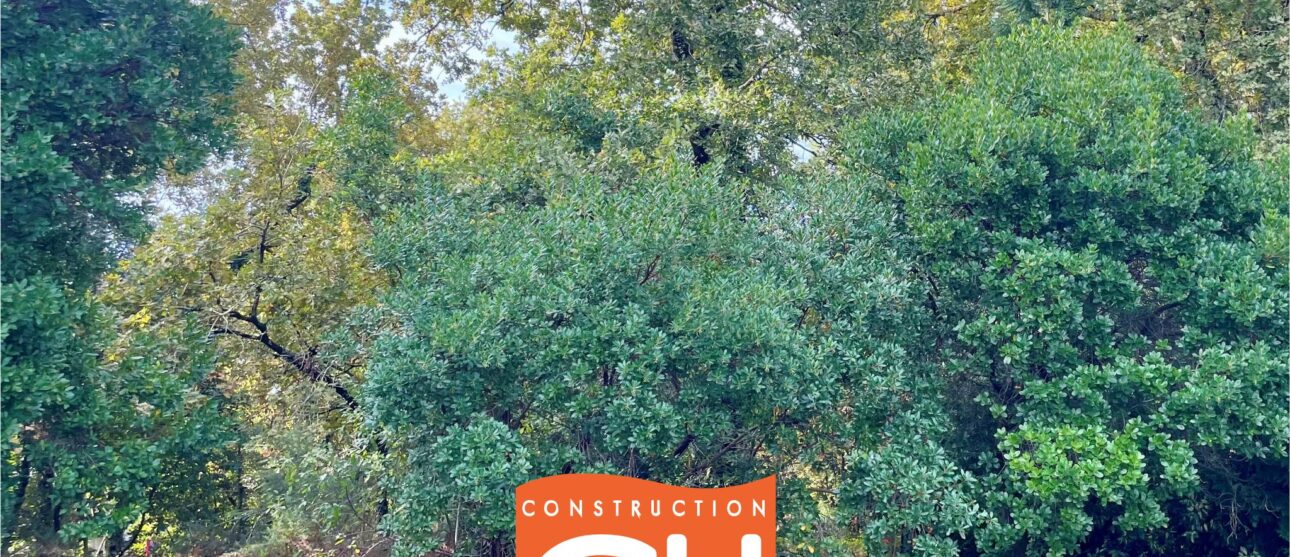 Terrain constructible Lesperon  (Landes 40)