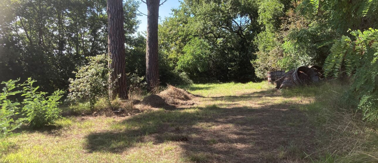Terrain constructible Cars  (Gironde 33)