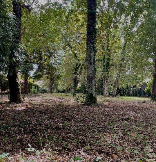 Maison avec terrain Cazaux  (Gironde 33)
