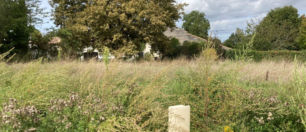 Terrain constructible Lugon-et-l'Île-du-carnay  (Gironde 33)