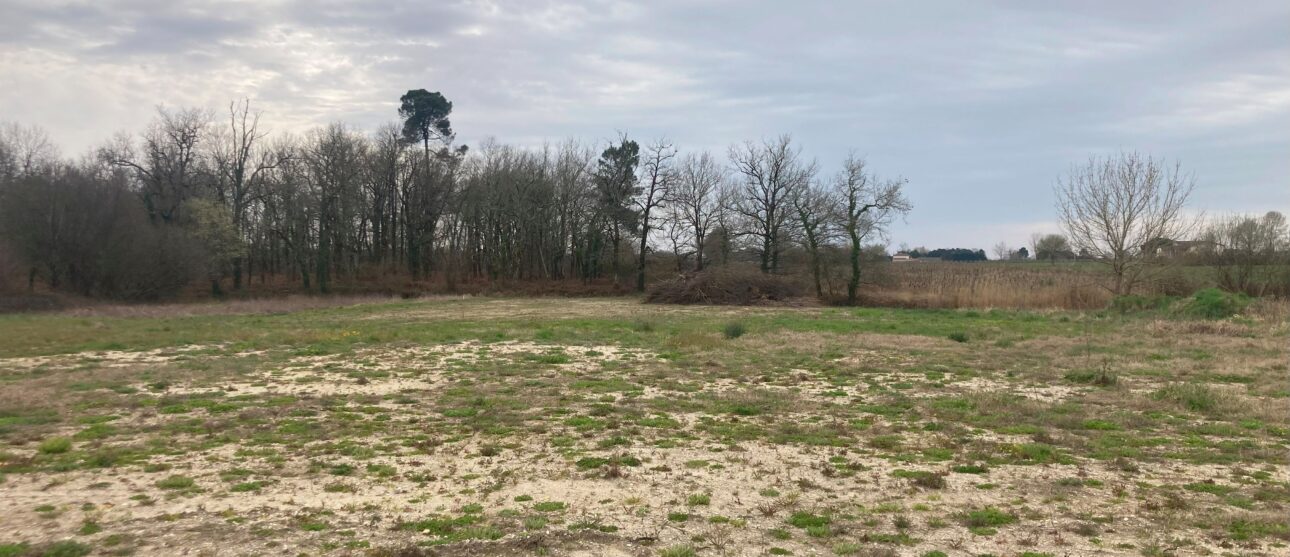 Terrain constructible Pugnac  (Gironde 33)