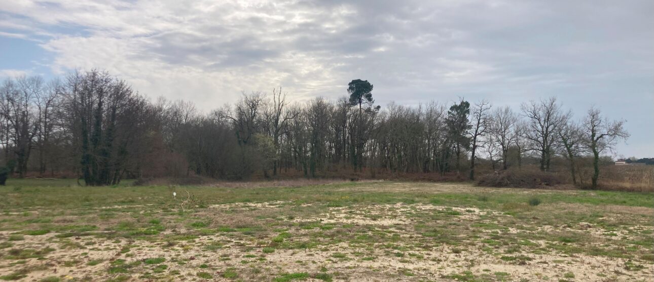 Terrain constructible Pugnac  (Gironde 33)