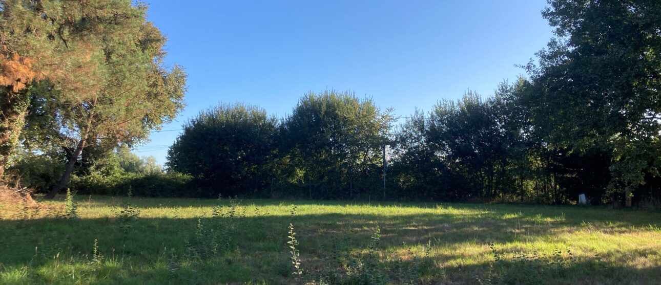 Terrain constructible Pugnac  (Gironde 33)