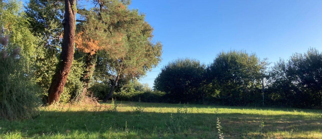 Terrain constructible Pugnac  (Gironde 33)