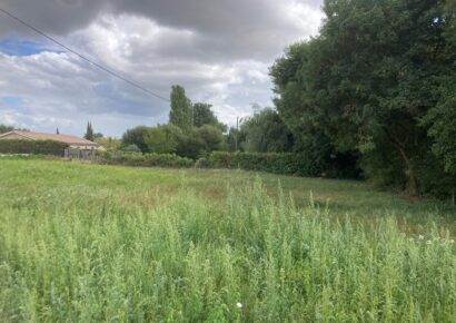 Terrain Gauriaguet  (Gironde 33)