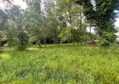 Terrain constructible Cadaujac  (Gironde 33)