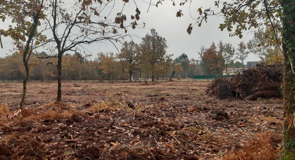 Terrain constructible Gauriaguet (Gironde 33)