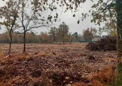Terrain constructible Gauriaguet  (Gironde 33)