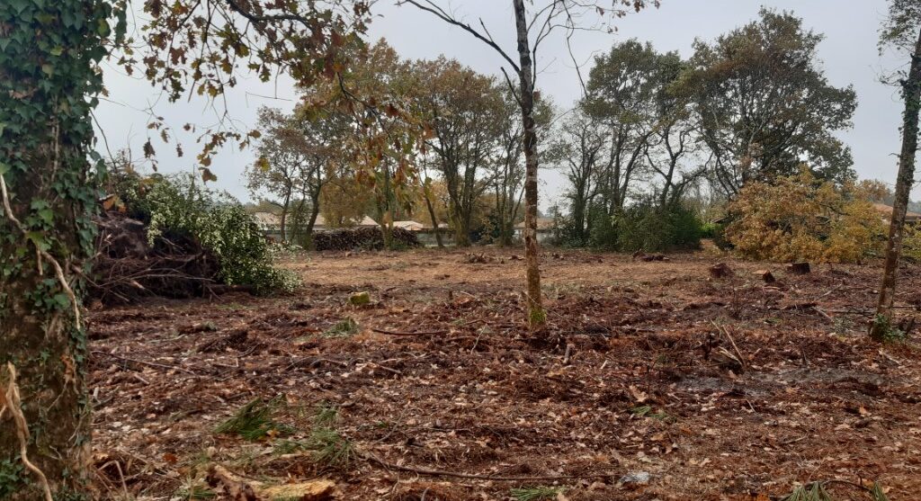 Terrain constructible Martillac (Gironde 33)